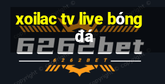 xoilac tv live bóng đá