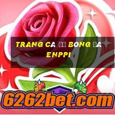 trang cá độ bóng đá enppi