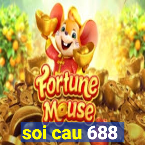 soi cau 688