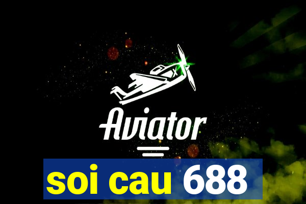 soi cau 688