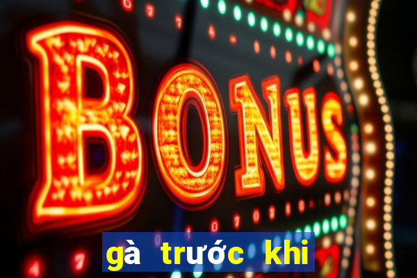 gà trước khi đá cho ăn gì