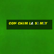 con chim là số mấy