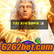 tai xiu bóng đá