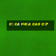 cờ cá ngựa cao cấp