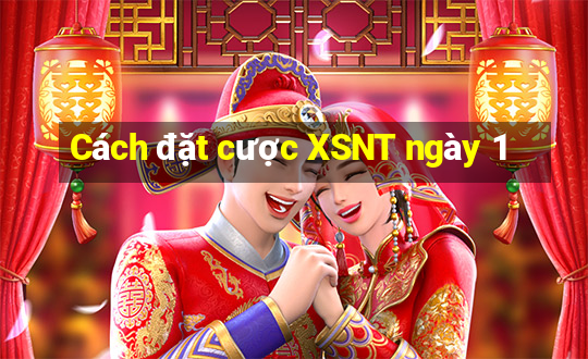 Cách đặt cược XSNT ngày 1