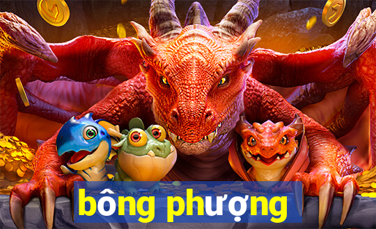 bông phượng