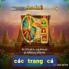 các trang cá độ online uy tín