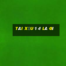 tài xỉu 1 4 là gì