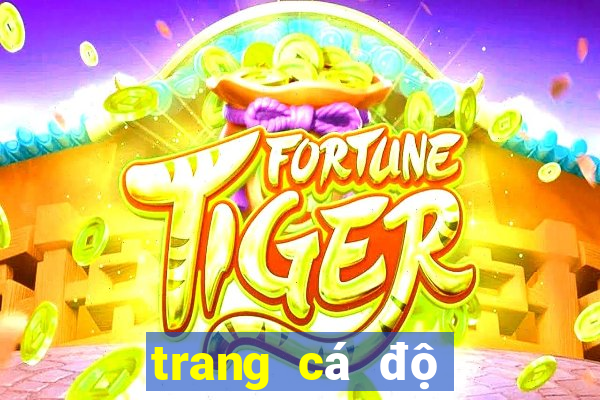 trang cá độ bóng đá fi88