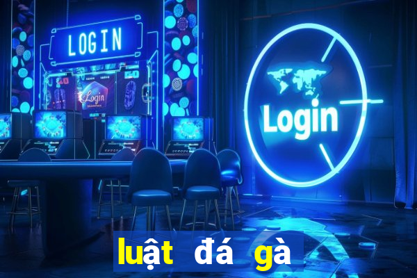 luật đá gà cựa sắt