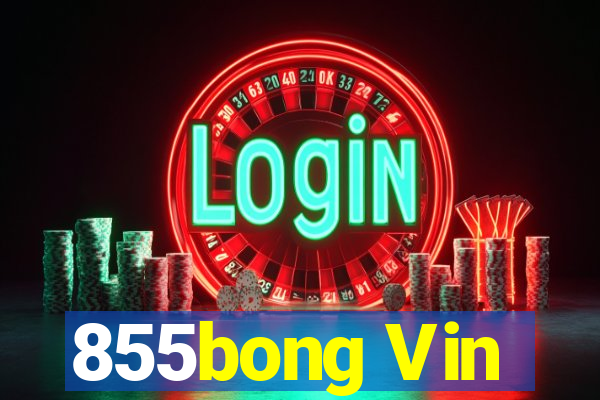 855bong Vin