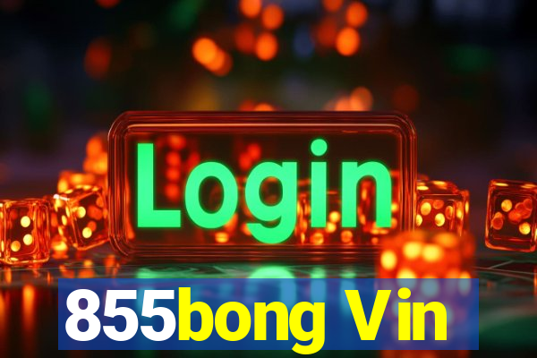 855bong Vin