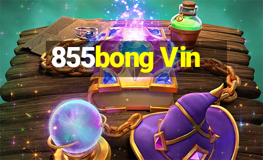 855bong Vin