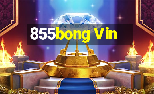 855bong Vin