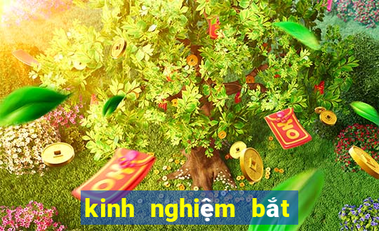 kinh nghiệm bắt lô bạch thủ