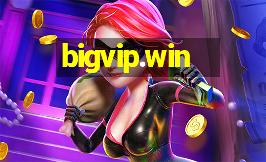 bigvip.win