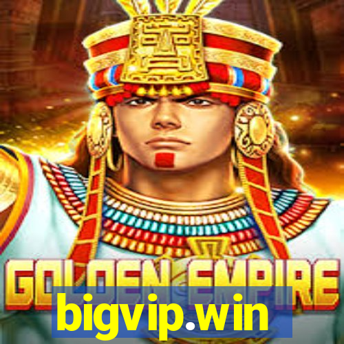 bigvip.win