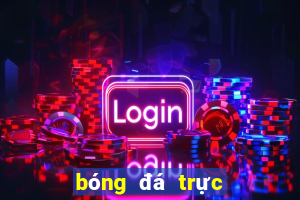 bóng đá trực tuyến 7m