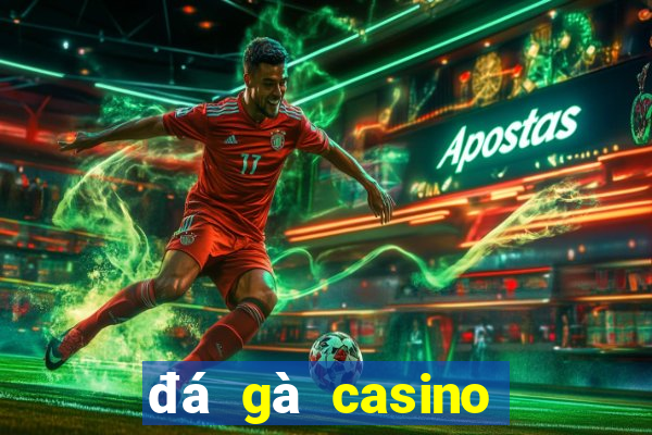 đá gà casino trực tiếp ngày hôm nay