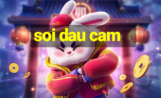 soi dau cam