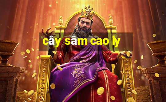 cây sâm cao ly