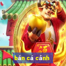 bán cá cảnh