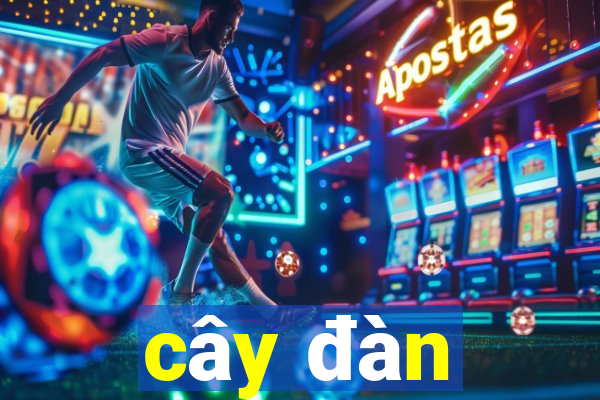 cây đàn