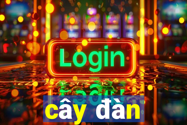 cây đàn