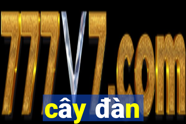 cây đàn