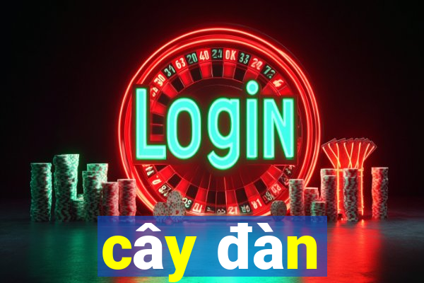 cây đàn