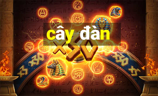 cây đàn