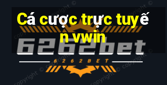 Cá cược trực tuyến vwin