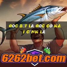 góc bẹt là góc có hai cạnh là