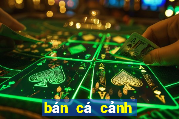 bán cá cảnh gần đây