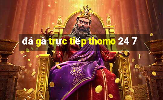 đá gà trực tiếp thomo 24 7