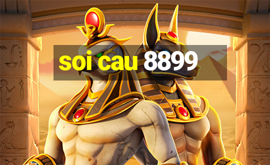 soi cau 8899