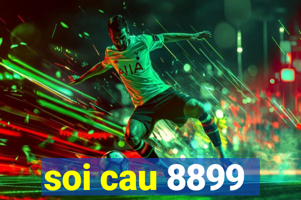 soi cau 8899