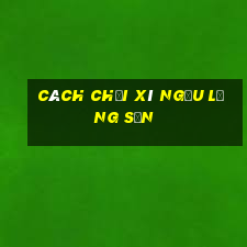 cách chơi xí ngầu lạng sơn