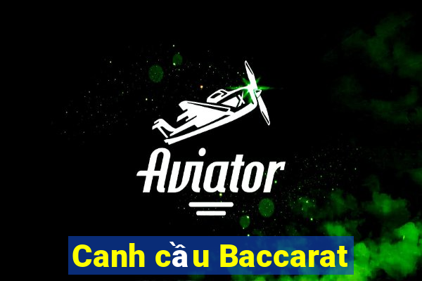 Canh cầu Baccarat