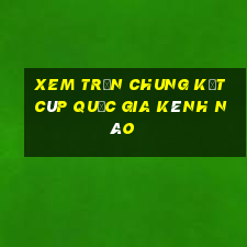 xem trận chung kết cúp quốc gia kênh nào