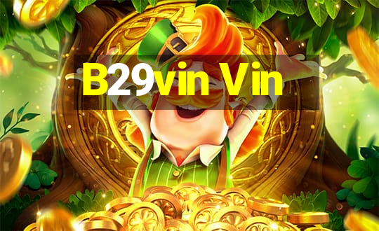 B29vin Vin