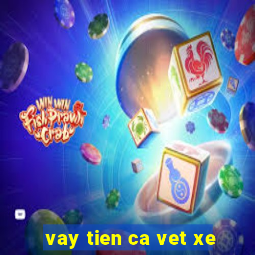 vay tien ca vet xe