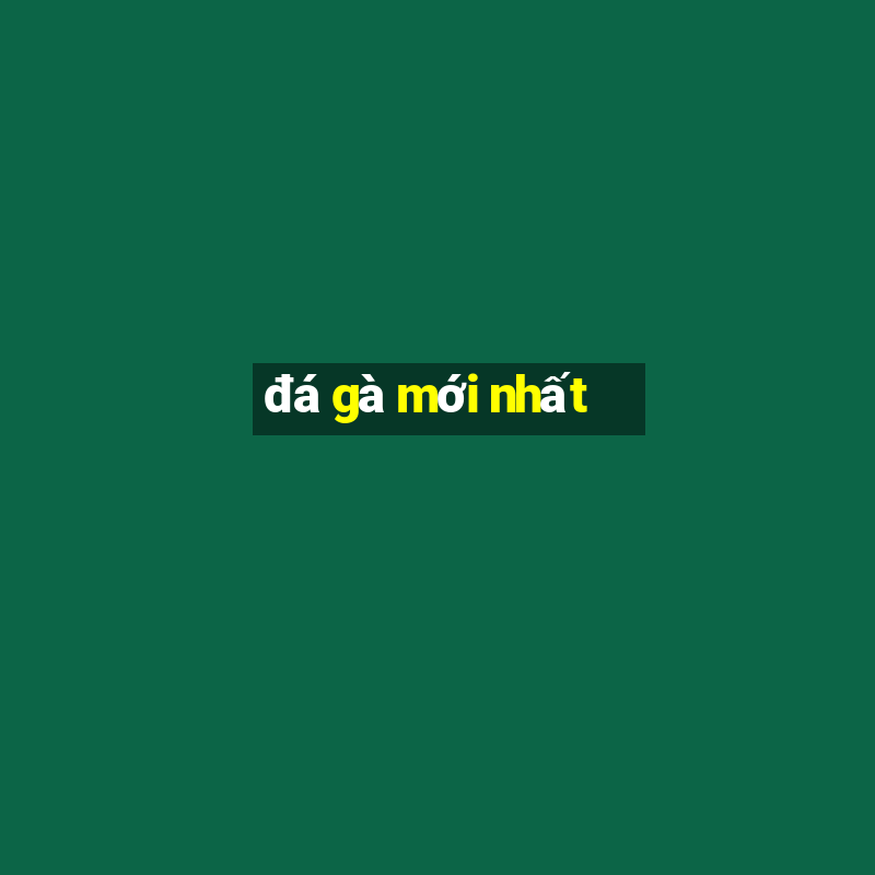 đá gà mới nhất