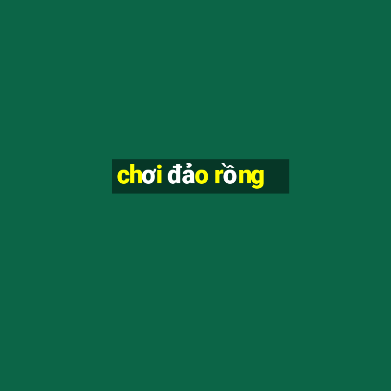 chơi đảo rồng