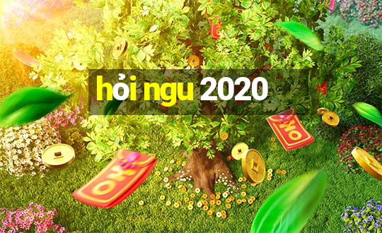 hỏi ngu 2020