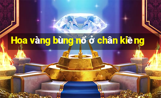 Hoa vàng bùng nổ ở chân kiềng