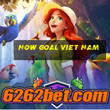 now goal viet nam