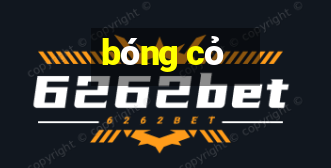 bóng cỏ