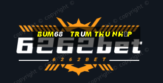 bum68   trùm thu nhập