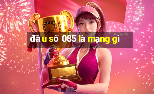 đầu số 085 là mạng gì